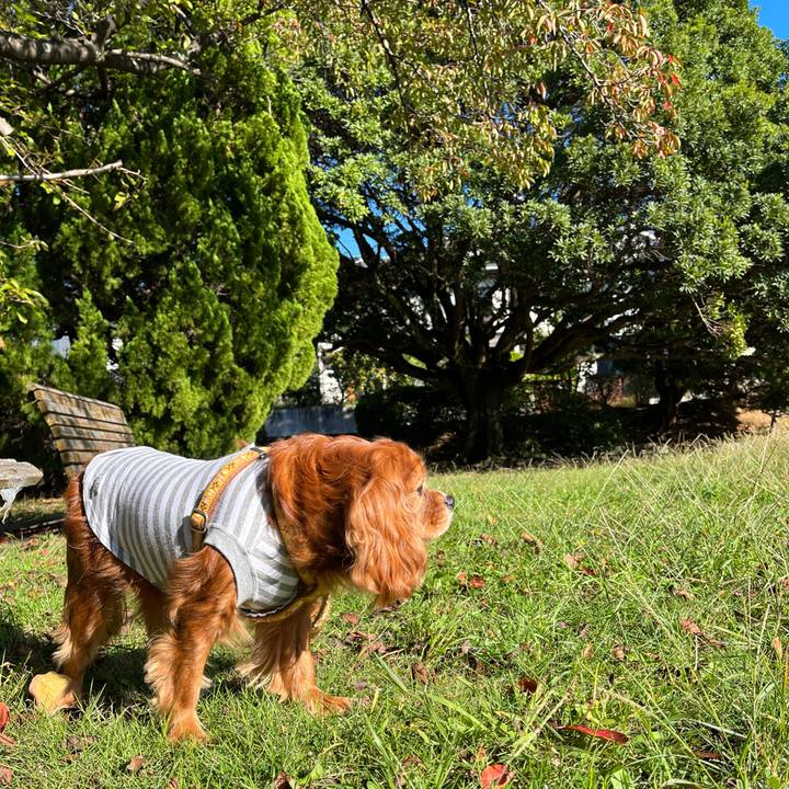 9c792e02 3fb4 4f06 a190 06369348bfa4 1697933571838