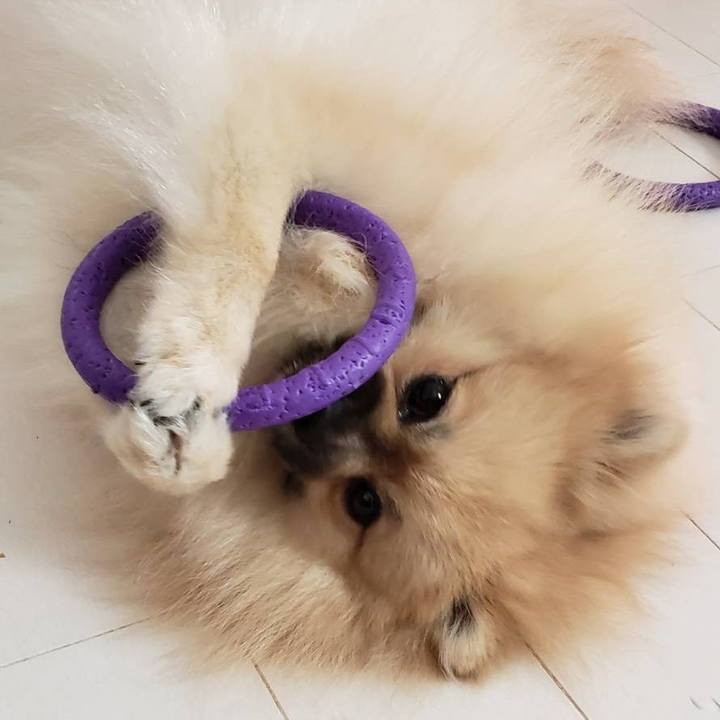 9c794e7f ac6d 4dfc be61 63ee0800f8e0 1633653944761