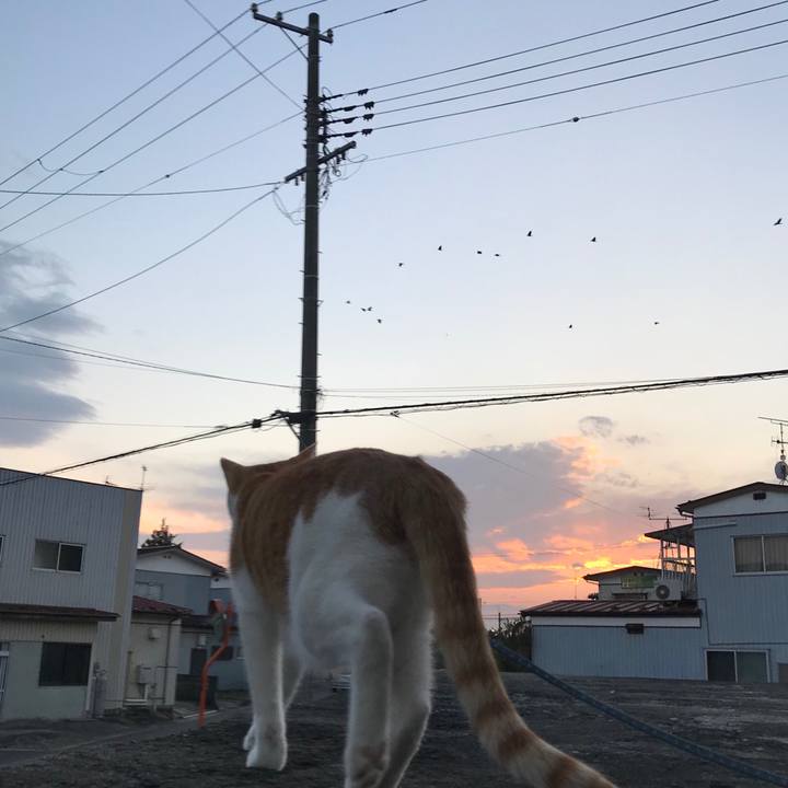 9c795ce5 fce0 4cd5 bfd6 42ccff482aff 1510138329861