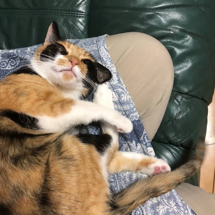 9c79c413 cf5c 4785 9d3a 12a64d82917d 1530455934805