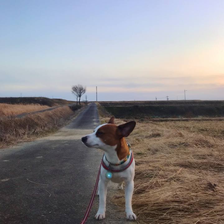 9c79f578 dada 4c56 8ca9 1ed16f4313be 1517400992754