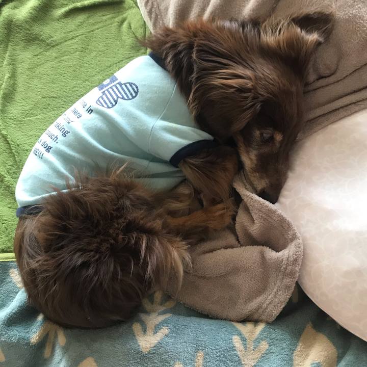 9c79ff1b 49d1 4c3c a279 80c421d68066 1589330959763