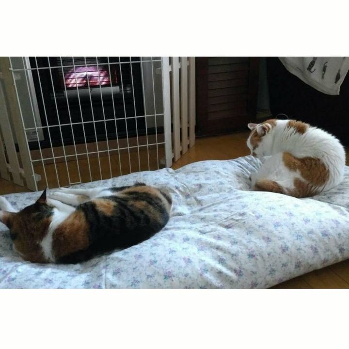 9c7aae67 00af 4127 97a7 961d59ceb97c 1508418187457