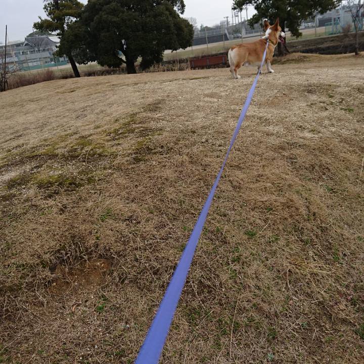 9c7adab0 9126 49a9 9d71 99f745896cbd 1581560245102