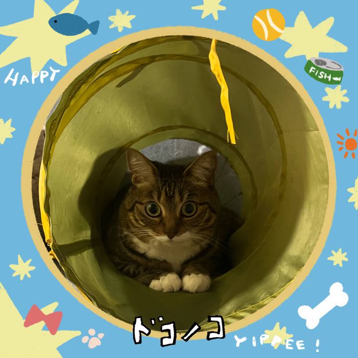 9c7ade1e 689f 41ce a69f 78e3d03d29b7 1721140384337