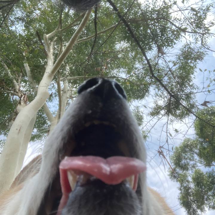 9c7aeeef 991b 4e34 871d fcfd676a142e 1756359280936