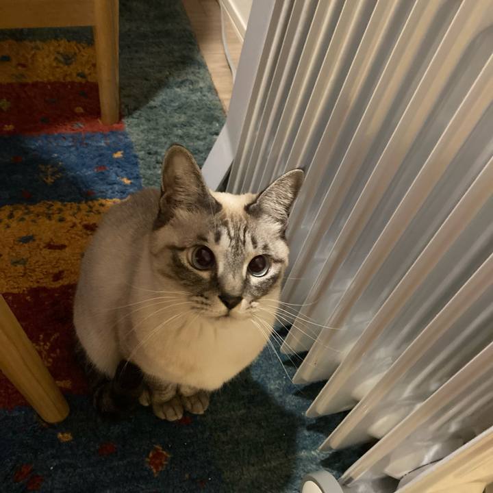 9c7af55e 42f2 4a93 8eec 69dcb21a9a03 1671796962003