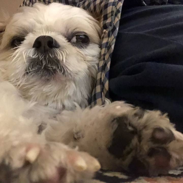 9c7af7f7 43b1 4cba a1f3 ed6ce29273dd 1572743220425