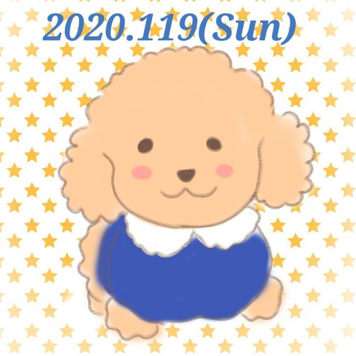 9c7b166c 8723 4291 b12f b331178a8056 1579430273295