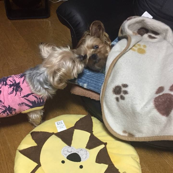 9c7b1dc6 0237 4e6c 80f5 02b35beeae7d 1549070905176