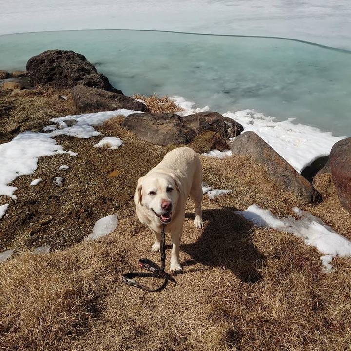 9c7b1ddb 4237 4caf 8662 b8e8c44d097b 1743131822039