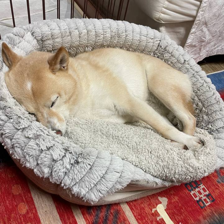 9c7b289e d9df 4ea3 9e29 67427255befe 1734871905242