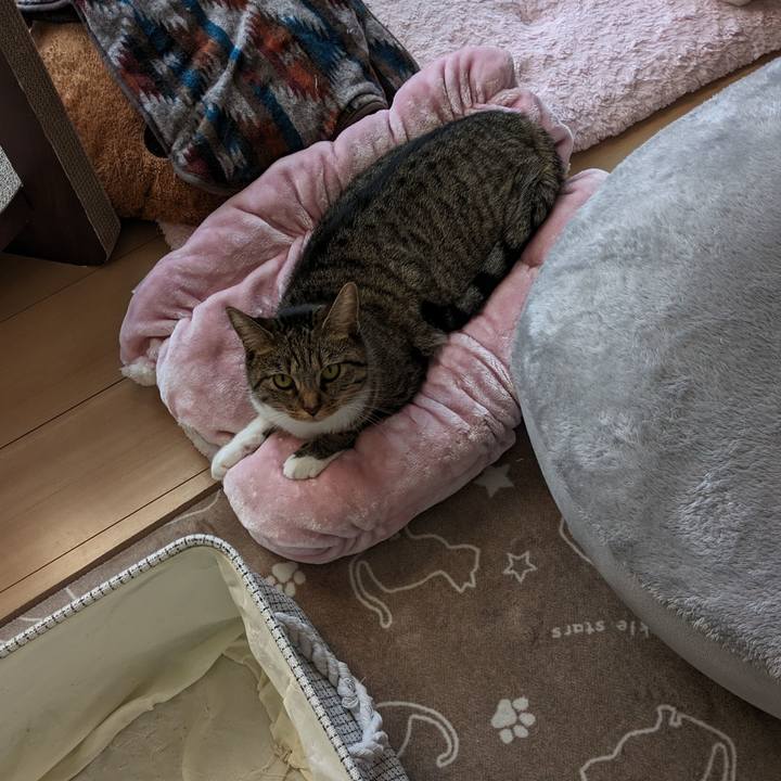 9c7b3e37 9e1e 42fe a444 c1abc9d3da4b 1699016902166