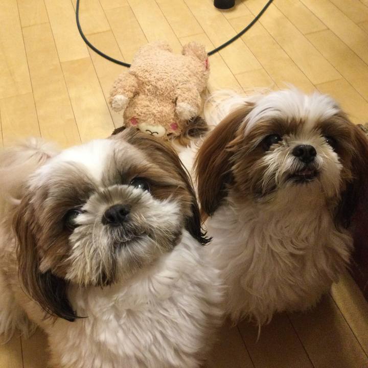 9c7b4b21 93b2 4c95 a44a aab6d8c737d1 1683628646887