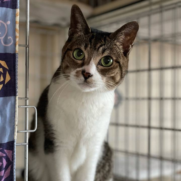 9c7b6206 c4ae 414c 881a 3531c19f41bd 1611453860541