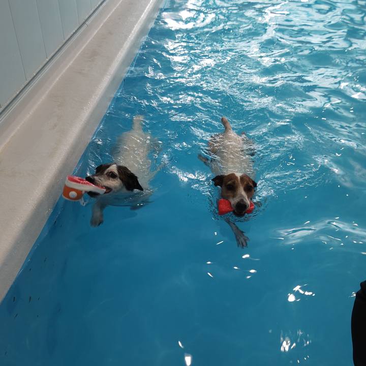 9c7bee39 9786 4745 b03e b32128277c90 1758599975507