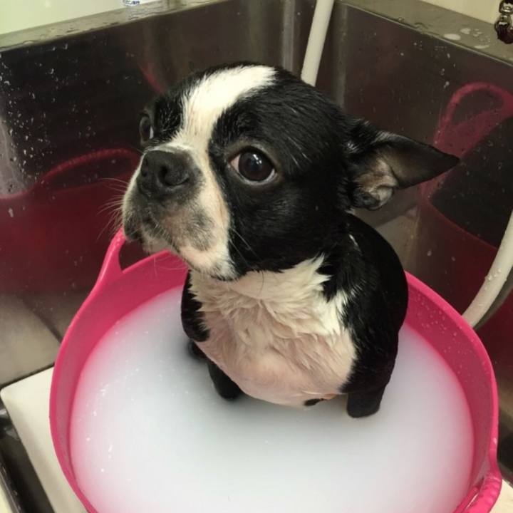 9c7bf828 7303 41fa 86c8 f05641b3caff 1524015498395