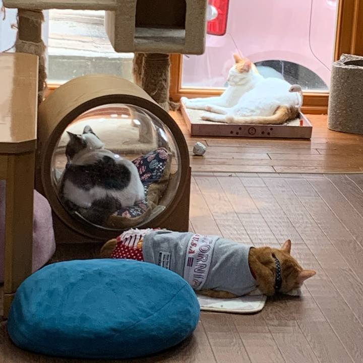 9c7c477e 712d 431a 8b6a 315af93fe5d8 1620034771413