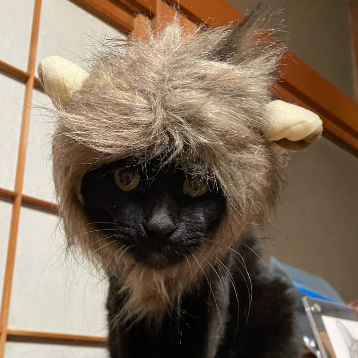 9c7c5fd9 f74a 4693 9f36 d88014866cc0 1770765681024