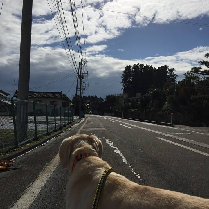 9c7c6a7b 8d45 458e 80a9 805c2703db6a 1509432293971