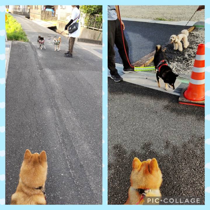 9c7ca6d2 c77d 4aca a664 66df51a566fe 1752186410552