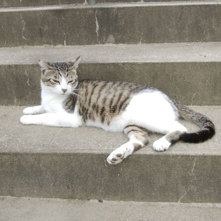 9c7cb563 0d72 4669 a0df 1991ee3948cf 1528681950255