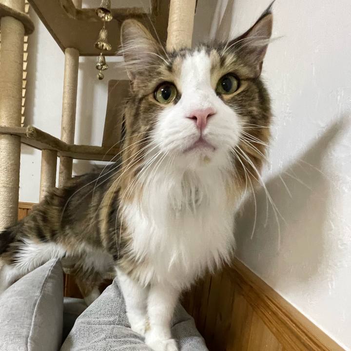 9c7cc9ee 8623 4990 89ba f9e46ba6013a 1669492957646