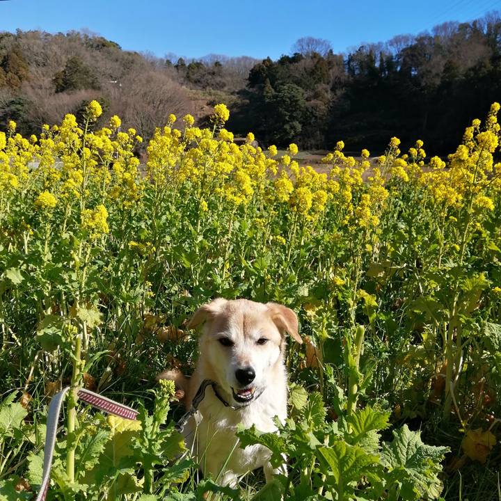 9c7d0bb6 e883 4a0e 984b 318cbf5a953c 1610513727635