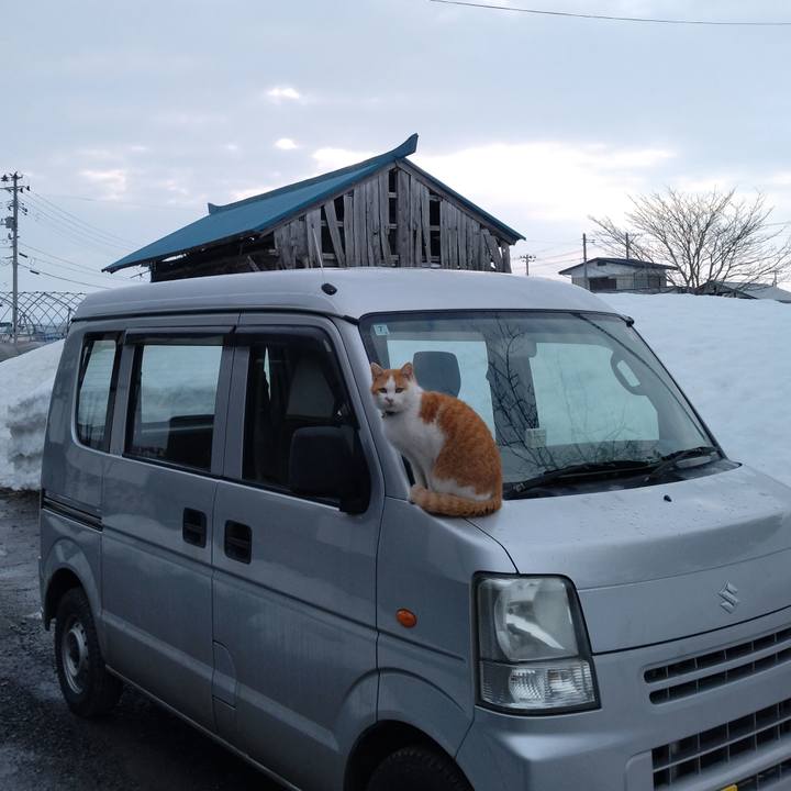 9c7d5aef a0c5 4891 822a 75849d49199b 1771031951056