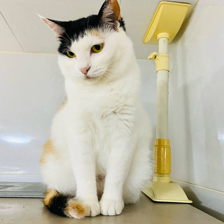 9c7d7f5e ead6 41af a126 3de95058ee59 1687781625078