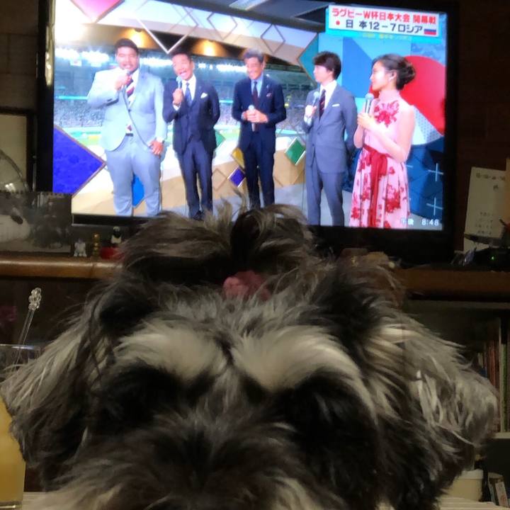 9c7d8f11 aa02 4aa5 bf28 1a4b7bb704b6 1568980291485