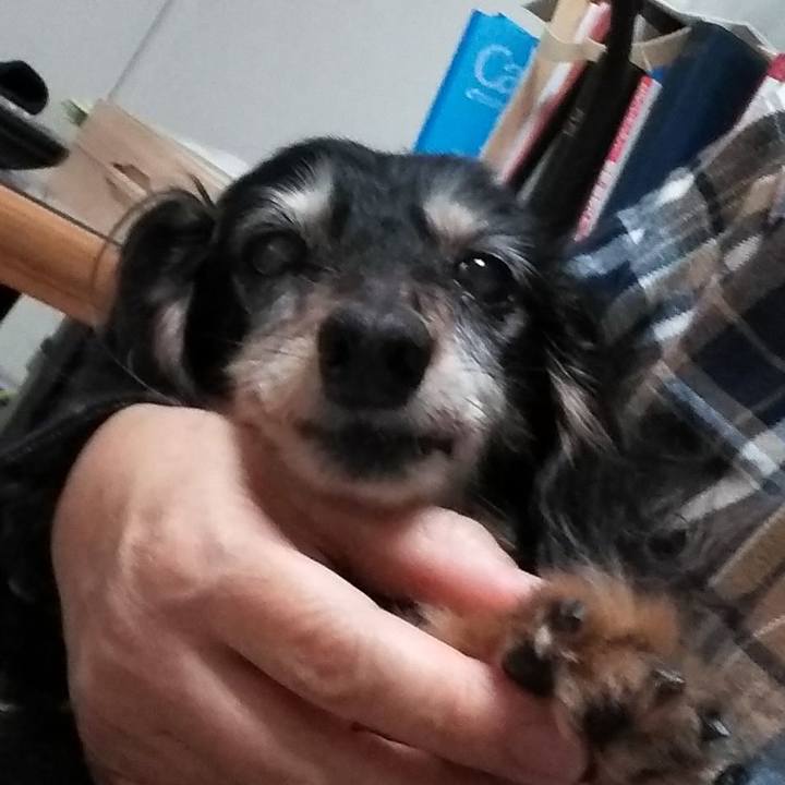 9c7d907c bb3d 4b8d 991e e4310ff3729c 1637450133255