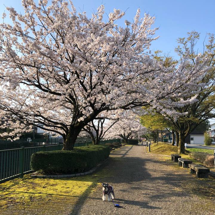 9c7e3bd6 7c2f 49a0 bd7f b029a0e01828 1681011521312