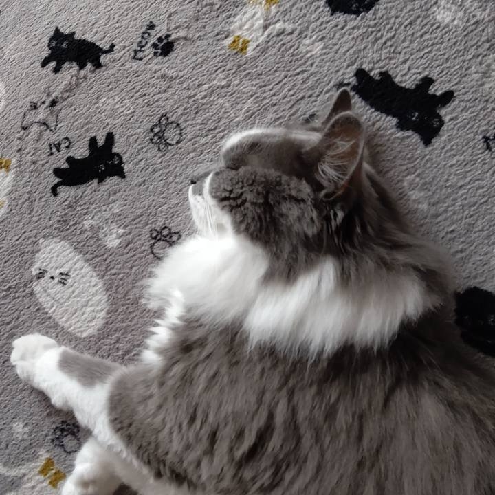 9c7e49da d5c1 487a a8ca 8883df41e0b2 1596359028096