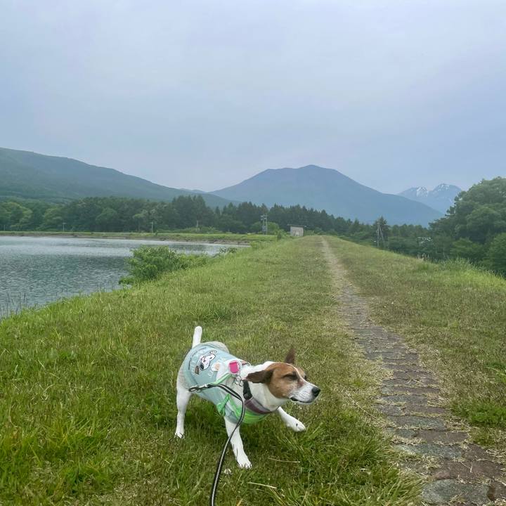 9c7e5cf1 fc33 4313 9ce3 8e8d74bdd90c 1748859326903