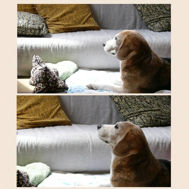 9c7e6954 4f6b 450c a266 5efee69fc56d 1688259270094