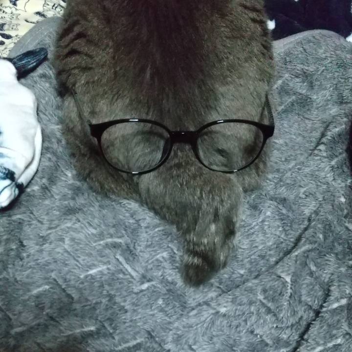 9c7e8263 1342 4819 b044 3d318b6219b1 1673772754580