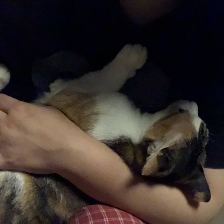 9c7e86fc 382b 46c8 9fd1 868d37204953 1592390337819