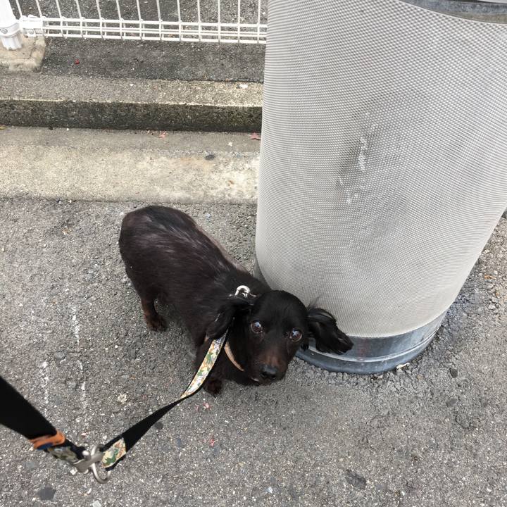 9c7e9e9f d09e 4afe a78a e3b1e0f934a6 1540506775768