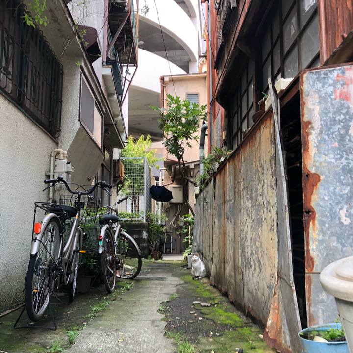 9c7ecbfc 9cc1 4b6a b398 5da20ee4e821 1563436239833