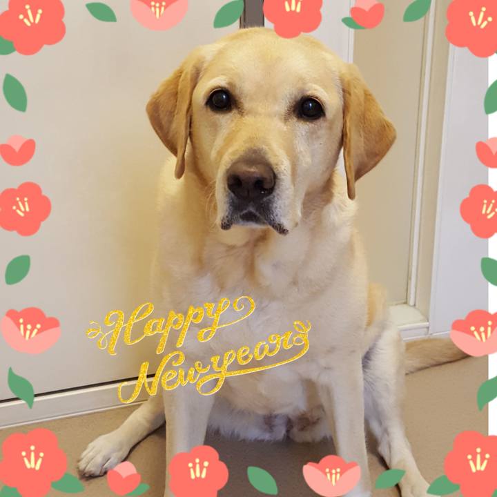 9c7ecd84 c134 4cc3 a8f0 26b46f6e863d 1577885634822