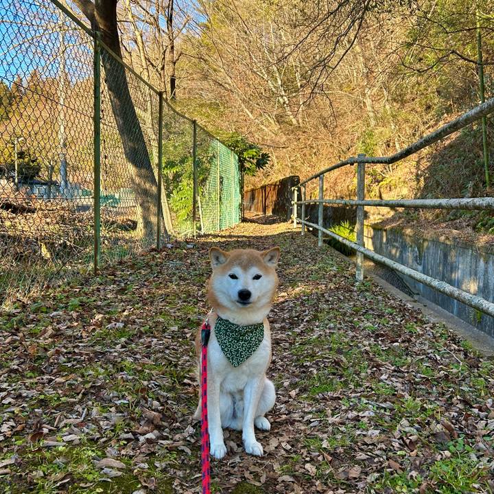 9c7ecdd1 a813 48a9 9177 0e0590232651 1705486860305