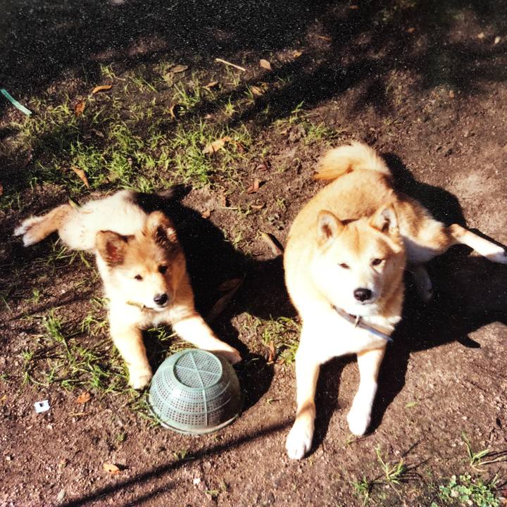 9c7efda2 49f9 46aa a8a3 9f8c233c10fb 1522246272774