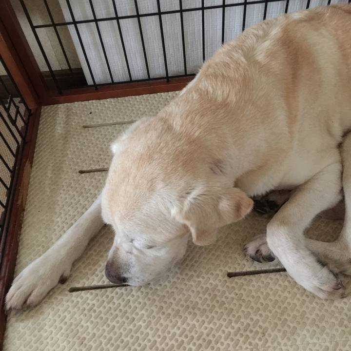 9c7f35bf 27a8 49ea 8e9d 478b97408841 1535426764935