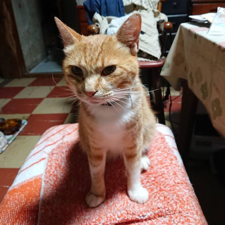 9c7f3d31 53d5 4882 a343 b3e13031c739 1595707547422