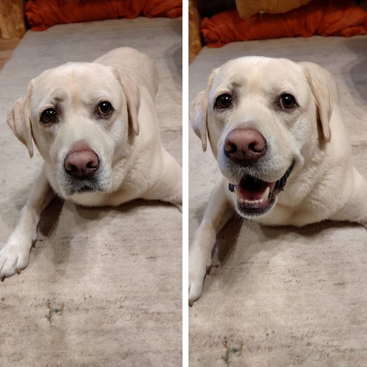 9c7f425d 2f73 4fa6 87c2 53cd5d40a610 1660021416071