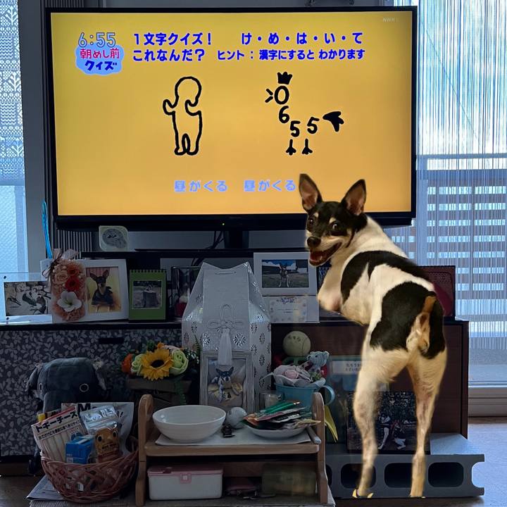 9c7f7ee6 1c4b 49ee ae88 0edff2e3c8cb 1665525552532