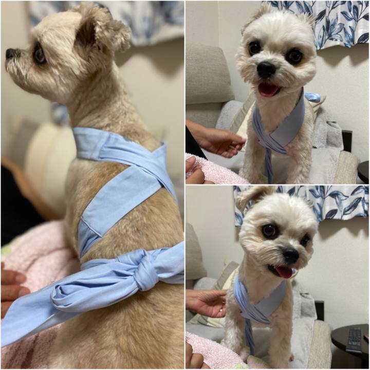 9c7f8c41 82fd 42d1 8a58 4a0ac024bec7 1599227050080