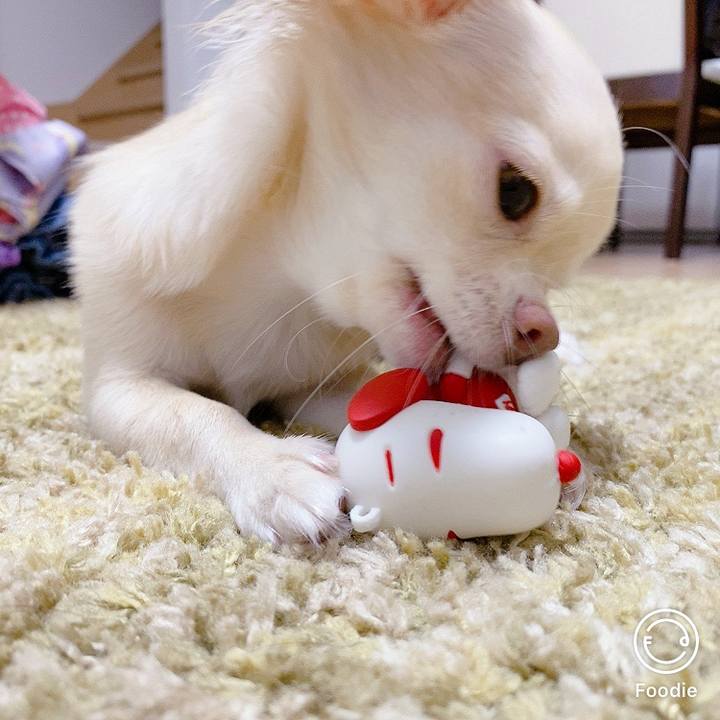 9c7f963b 3eb0 40d4 9464 61510859fd02 1599812726894