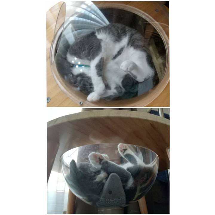 9c7f96db 82f4 41d2 85cd 7ef9061aa38a 1627261479464